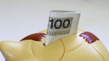 Piggy bank with Polish banknotes, 100 PLN savings money © Bartosz