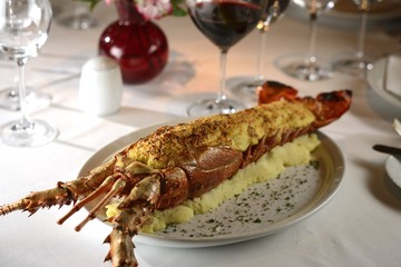 Thermidor Lobster over mashed potato
