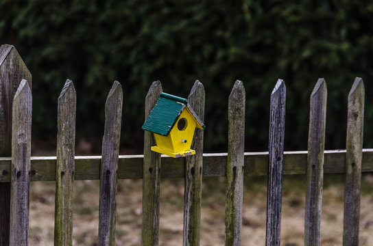 Yellow Bird House