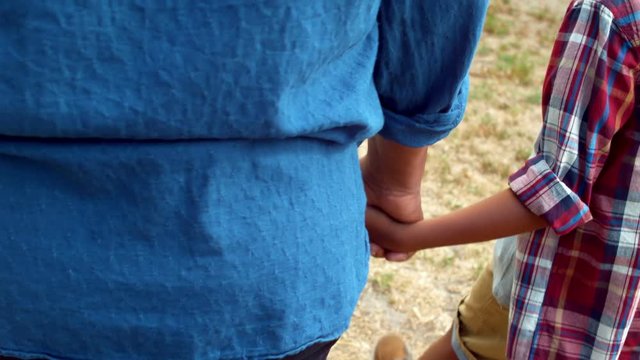 Father and son holding hands while walking in garden