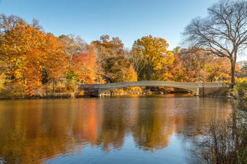 Bow Bridge in Central Park, New York City on a Golden Autumn Day