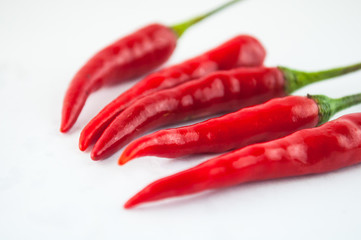 hot chilli