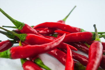hot chilli