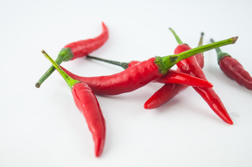 hot chilli