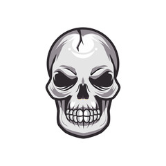 Skull Edition Vector Illustration