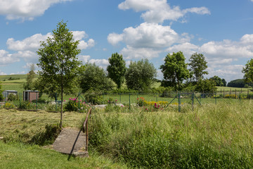Dorfidylle im Sommer