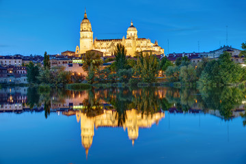 Fototapeta na wymiar The Cathedral of Salamanca and the river Tormes at night