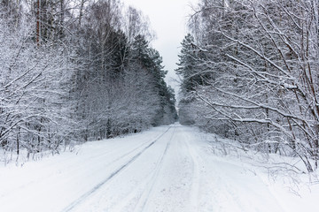 Winter road.
White snow-covered trees around the country road.

