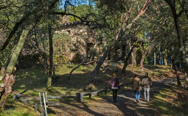 A Trio of Individuals Walks in Woods near the Old Stone Ruins of Jack London State Park in Glen Ellen, California © ryancslimakphoto