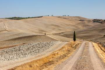 The rural landscape of the  Tuscany. Italy