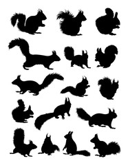 Squirrel silhouette. Good use for symbol, logo, web icon, mascot, sign, or any design you want.