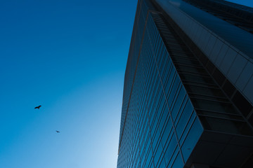 大都会 ビジネスビル