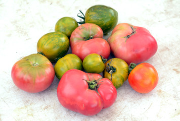 Fototapeta na wymiar heirloom, tomato
