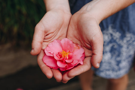 Girl holding flower petals in her hand