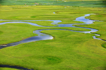 The river on the grassland