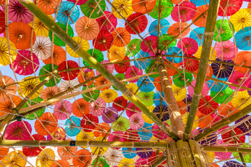 Color of umbrella background