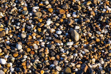 Wet sea pebbles close-up.