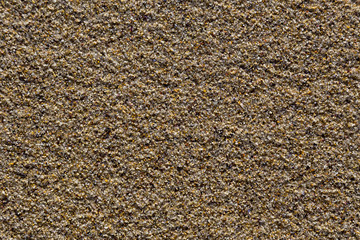 Wet sand on the beach closeup.
