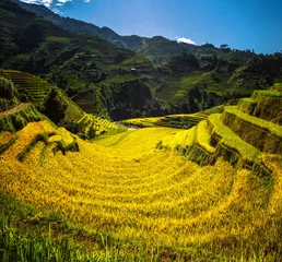 Printed roller blinds Mu Cang Chai Rice field and rice terrace in Mu cang chai