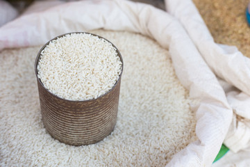 Organic white rice , glutinous rice or sticky rice for design nature foods Concept.