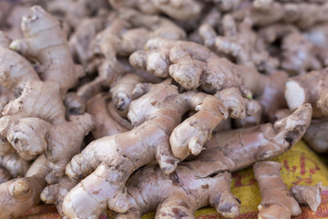 Fresh organic ginger stand out among many large background ginger in the market.
