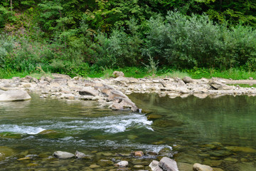 Landscape river among stones surrounded by forest