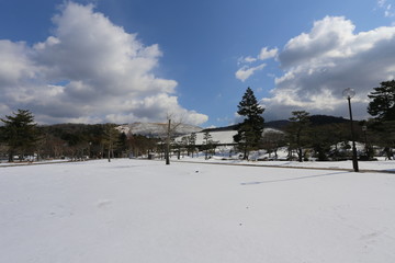 奈良公園の雪景色と鹿
