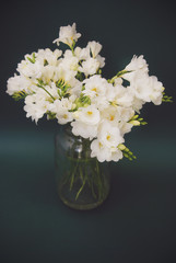Vintage White Freesia Bouquet of Flowers in Glass Vase on Black Background. close up.