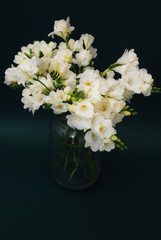 Naklejka na ściany i meble White Freesia Bouquet of Flowers in Glass Vase on Black Background. close up.