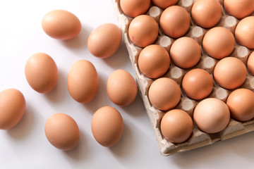 chicken eggs on a white background