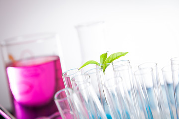 Experimental equipment.