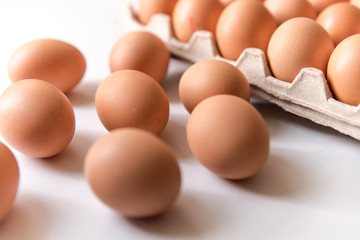 chicken eggs on a white background