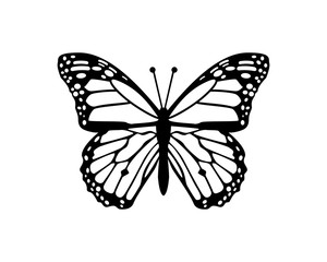 Beautiful Flying Butterfly Sign Symbol Animal Icon Logo Vector