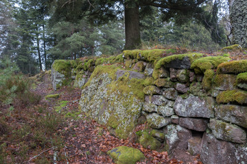 Celtic camp, Celtic statues, Vosges, France