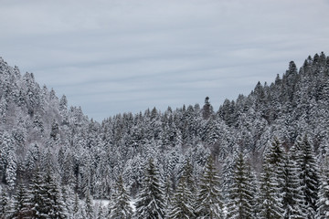 Winter Landscape, Vosges, France