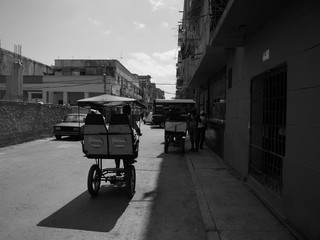Havana Carts