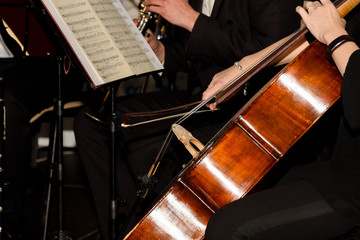 Close-up of cello musician and musical notes during concert of symphony orchestra.
