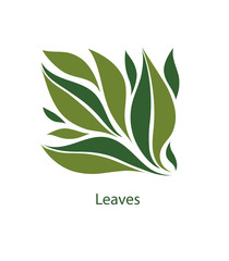 Green leaves of trees and plants. Elements for eco, organic and bio logos. Leaves icon vector isolated on white background. 