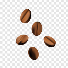 coffee beans realism style vector illustration