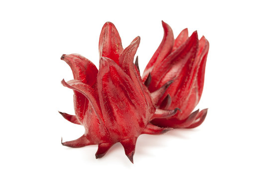 red roselle isolated