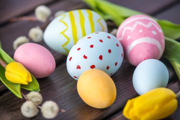 Colorful Easter eggs with yellow Tulip hand painted on a dark wooden background. Holiday spring card