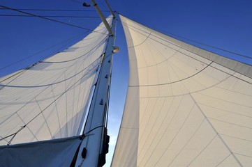 MAINSAIL  AND JIB OF A SAILING BOAT