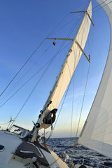 MAINSAIL  AND JIB OF A SAILING BOAT