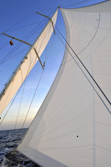 MAINSAIL  AND JIB OF A SAILING BOAT