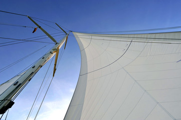 MAINSAIL  AND JIB OF A SAILING BOAT