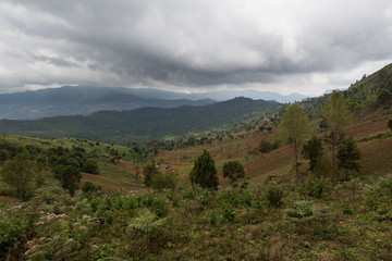 Usambara Berge - Tansania