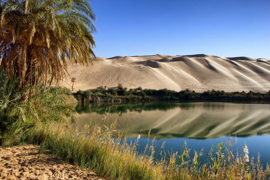 Libya/Sahara Desert