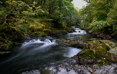 Fototapeta na wymiar Cumbria Lake District Stream