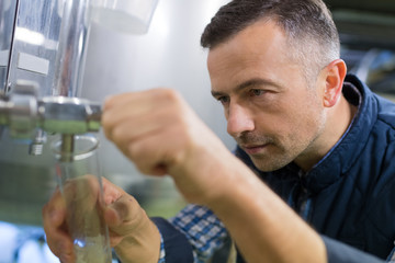 happy brewer checking beer with hydrometer at brewery