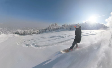 LENS FLARE: Freeride snowboard girl riding powder snow in sunny mountain forest